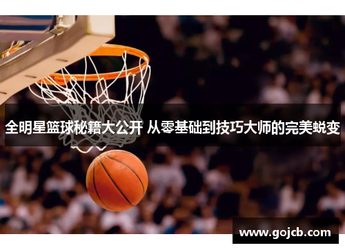 全明星篮球秘籍大公开 从零基础到技巧大师的完美蜕变
