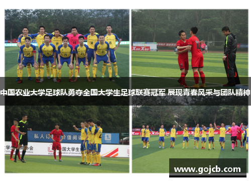 中国农业大学足球队勇夺全国大学生足球联赛冠军 展现青春风采与团队精神